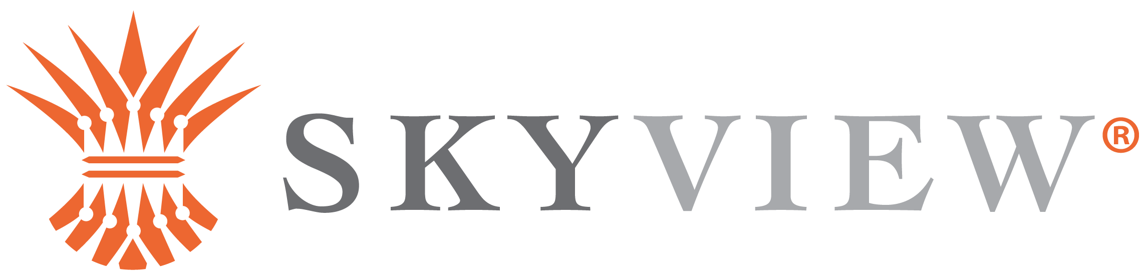 SkyView Partners